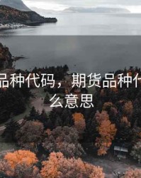 期货个品种代码，期货品种代码是什么意思