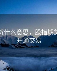 股指期货什么意思，股指期货在哪里开通交易