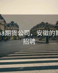 安徽双aa期货公司，安徽的期货公司招聘