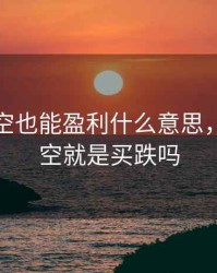 期货做空也能盈利什么意思，期货做空就是买跌吗