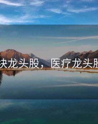 医疗板块龙头股，医疗龙头股股排名