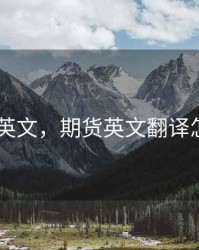 期货 英文，期货英文翻译怎么写
