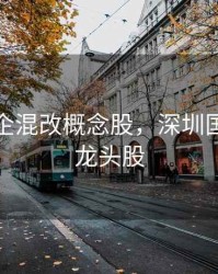 深圳国企混改概念股，深圳国企改革龙头股