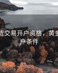 黄金期货交易开户资格，黄金期货开户条件