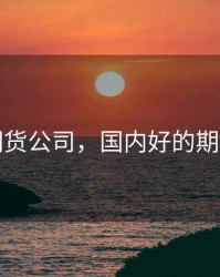 好的期货公司，国内好的期货公司