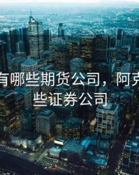 阿克苏有哪些期货公司，阿克苏有哪些证券公司