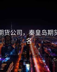 秦皇岛期货公司，秦皇岛期货公司排名