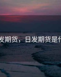 日发期货，日发期货是什么