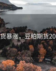 豆粕期货暴涨，豆粕期货2021趋势