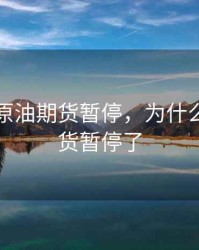 为什么原油期货暂停，为什么原油期货暂停了