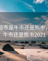 2020年股市是牛市还是熊市，2020是牛市还是熊市2021
