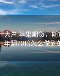 付海棠 叶大户 苹果期货，期货付海棠一年翻70倍怎么做到的