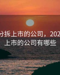 2020能分拆上市的公司，2020能分拆上市的公司有哪些