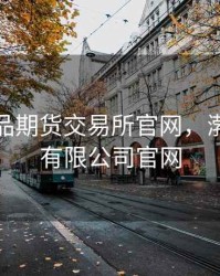 渤海商品期货交易所官网，渤海期货有限公司官网