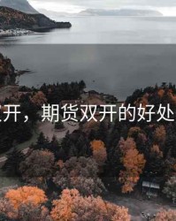 期货双开，期货双开的好处与弊端