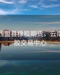 云南省西盟县橡胶期货，云南国际橡胶交易中心