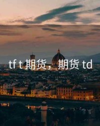 tf t 期货，期货 td