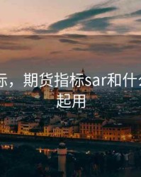 期货 指标，期货指标sar和什么指标一起用