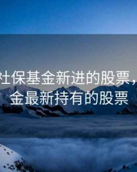 2020年社保基金新进的股票，社保基金最新持有的股票