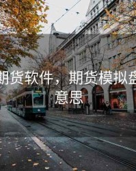 模拟盘期货软件，期货模拟盘是什么意思