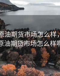 国内的原油期货市场怎么样，国内的原油期货市场怎么样啊