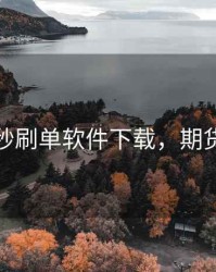 期货秒刷单软件下载，期货刷手