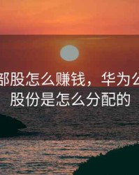 华为内部股怎么赚钱，华为公司内部股份是怎么分配的