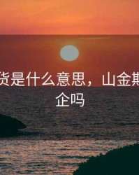 山金期货是什么意思，山金期货是国企吗