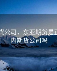 国内期货公司，东亚期货是正规的国内期货公司吗