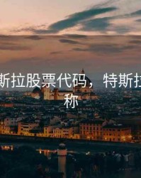 美国特斯拉股票代码，特斯拉美股名称