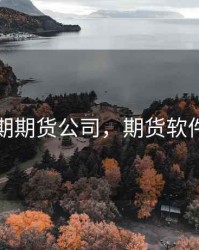 定乐期期货公司，期货软件定制