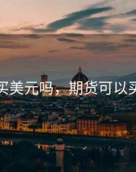 期货能买美元吗，期货可以买外盘吗