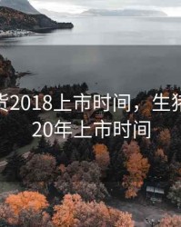 生猪期货2018上市时间，生猪期货2020年上市时间