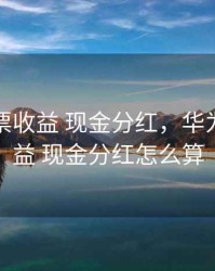 华为股票收益 现金分红，华为股票收益 现金分红怎么算