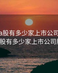 2020年a股有多少家上市公司，2020年a股有多少家上市公司股票