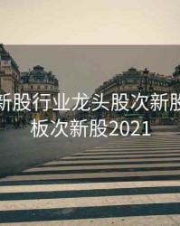 创业板新股行业龙头股次新股，创业板次新股2021
