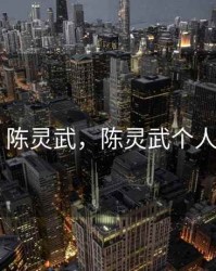 期货 陈灵武，陈灵武个人简历