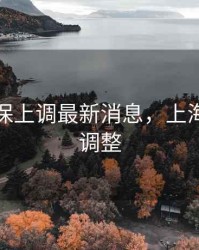 上海社保上调最新消息，上海社保新调整