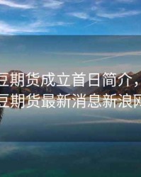 美国大豆期货成立首日简介，美国大豆期货最新消息新浪网
