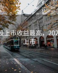 2020新股上市收益最高，2020年新股上市