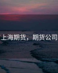 北京上海期货，期货公司北京