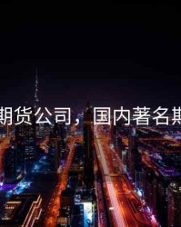 国内的期货公司，国内著名期货公司