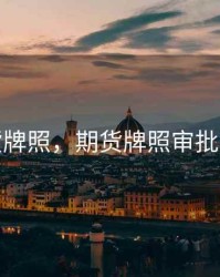 期货牌照，期货牌照审批条件