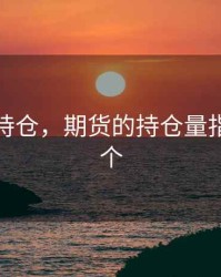 期货的持仓，期货的持仓量指标是哪个