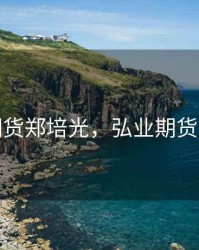 弘业期货郑培光，弘业期货总经理