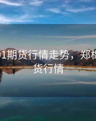 郑棉1901期货行情走势，郑棉2101期货行情