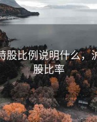 沪股通持股比例说明什么，沪股通持股比率