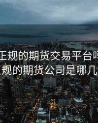 中国有正规的期货交易平台吗，中国正规的期货公司是哪几家