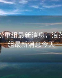 浪莎股份重组最新消息，浪莎股份重组最新消息今天