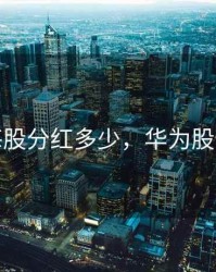 华为每股分红多少，华为股份分红